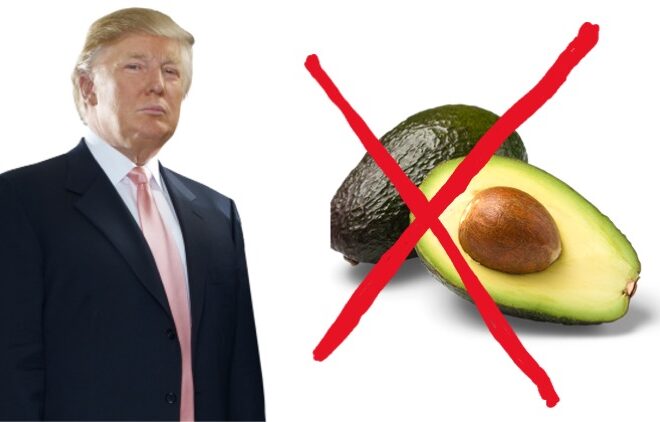 Caro avocado, quanto sarai caro! Non solo al palato, ma anche al portafoglio!