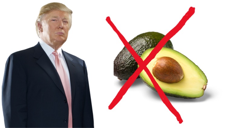 Caro avocado, quanto sarai caro! Non solo al palato, ma anche al portafoglio!